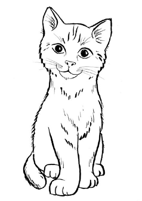 Drawing Of A Surprised Cat How To Draw A Cat Easy Step