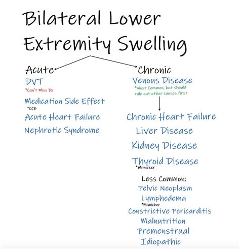 Bilateral Lower Extremity Swelling Differential Diagnosis Grepmed