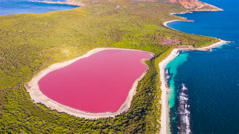 Aggregate 88 About Pink Lakes In Australia Latest Nec