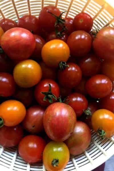 The Best Heirloom Tomato Varieties To Grow This Year