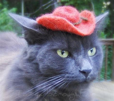 Things that make you go aww! Cowboy Cat Hat Chestnut Brown by ToScarboroughFair on Etsy