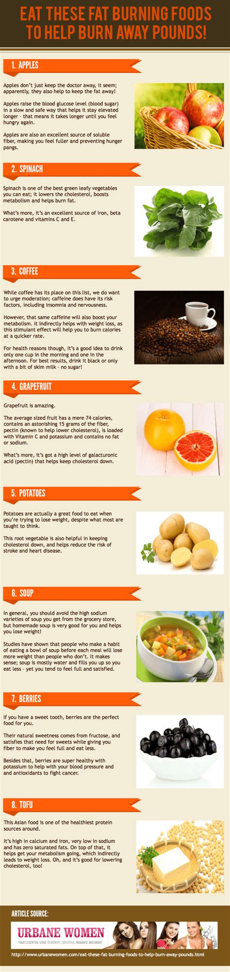 14 Fat Burning Foods 45 Nutrition Infographics For Better Health