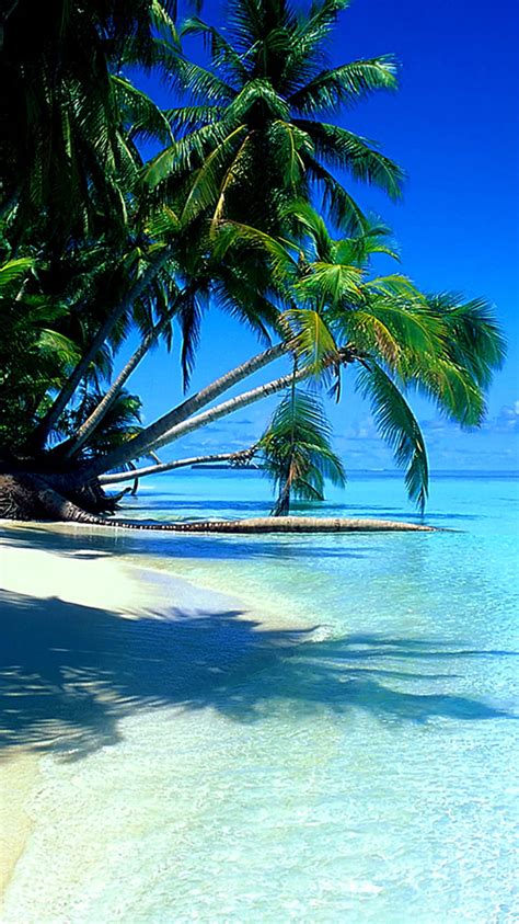 Island Paradise Background