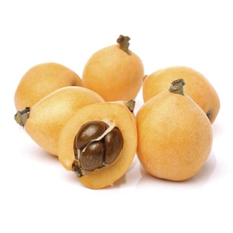 Loquat