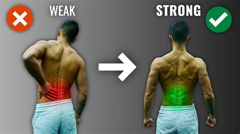 How To Get A Strong Lower Back The Right Way 4 Must Do Exercises Weightblink