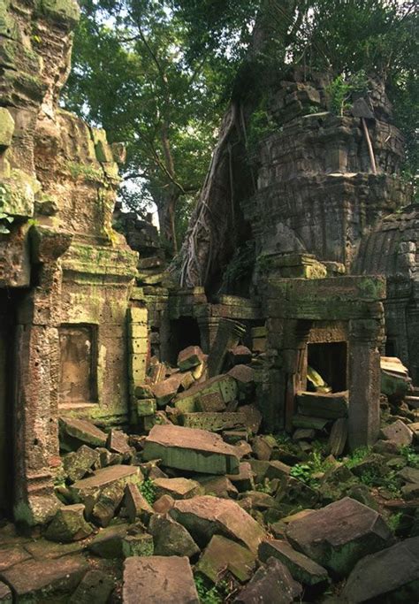 Jungle Ruins Angkor Wat Cambodia Angkor Wat Ruins Angkor