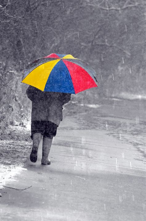 무료 이미지 남자 감기 겨울 사람들 흐린 비 봄 빨간 우산 색깔 날씨 검은 시즌 낙하산 강설 계절