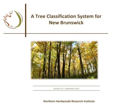 Tree Classification System Northern Hardwoods Research Institute Inc