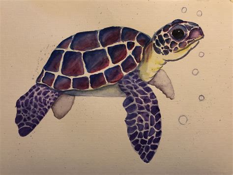 Watercolor Turtle By Mykatscreations Sea Turtle Painting Turtle