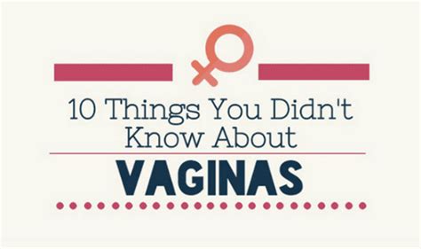 10 Things You Didn’t Know About Vaginas Infographic Visualistan