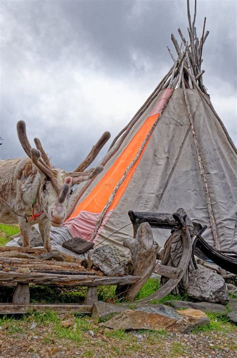 Lavvu Sami Tent In Nordkapp Peninsula Norway Stock Photo Image Of