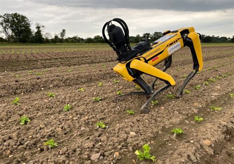 The Future Of Agriculture Robot Farmers Are On The Rise