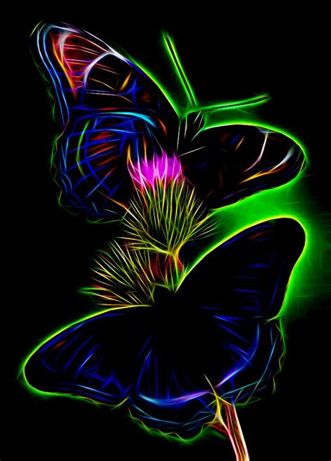 Butterflies Fractal Akvis Neon Fractal Art Butterfly Wallpaper Fractals