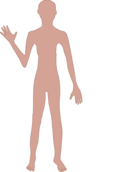 Female Body Real One Clip Art At Vector Clip Art Online