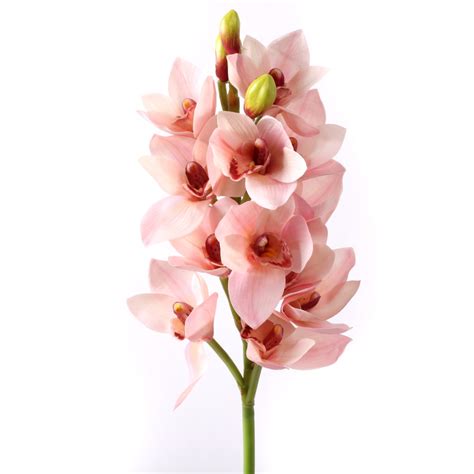 23 Cymbidium Orchid Silk Flower Single Stem In Pink Near Natural