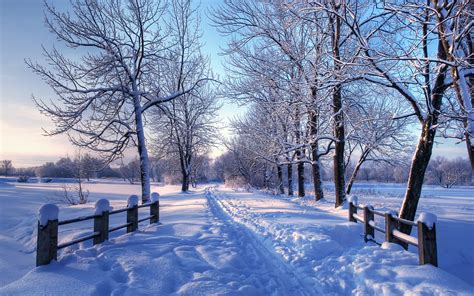 Free Download Winter Desktop Backgrounds Images 2560x1600 For Your