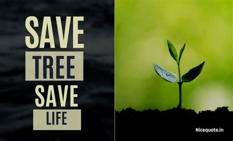 80 Best Slogans On Save Trees And Save Tree Quotes November 2023