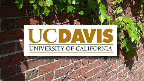 Audit Uc Didnt Quickly Discipline Staff In Sexual Misconduct Cases