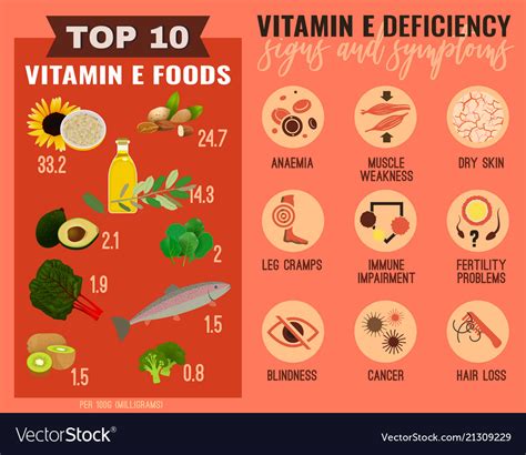 vitamin e deficiency royalty free vector image