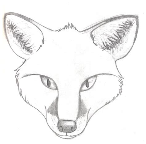 How To Draw A Simple Fox Face