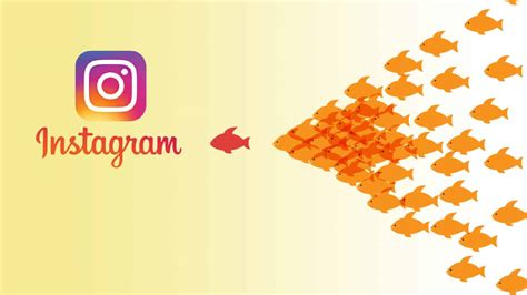 How To Gain Your 1st 1000 Followers On Instagram