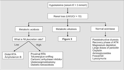 Figure 2 From Approach To Hypokalemia Semantic Scholar