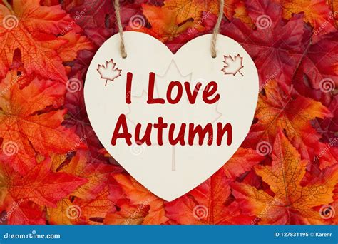 I Love Autumn Message With Fall Leaves Stock Image Image Of Heart Words 127831195