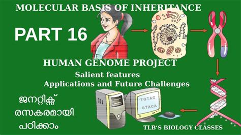 Molecular Basis Part 16 Human Genome Projectsalient Featuresclass