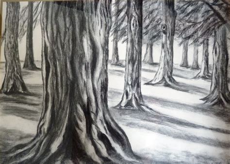 Woods Drawing At Getdrawings Free Download