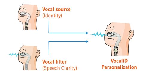 An Introduction To How The Human Voice Works Voice In