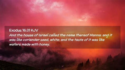 Exodus 1631 Kjv Desktop Wallpaper And The House Of Israel Called The