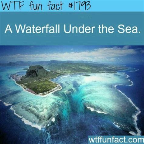 That's so cool. | Fun facts about love, Wtf fun facts, Fun facts