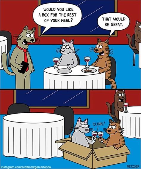 30 Funny Cat Comics By Scott Metzger That Might Make Every Cat Owner