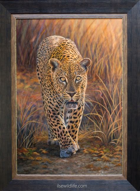 Leopard Paintings Wildlife Paintings By Ilse De Villiers Real Africa