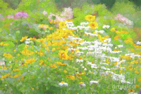 Abstract Wildflowers Ii Photograph By Leslie Gatson Mudd