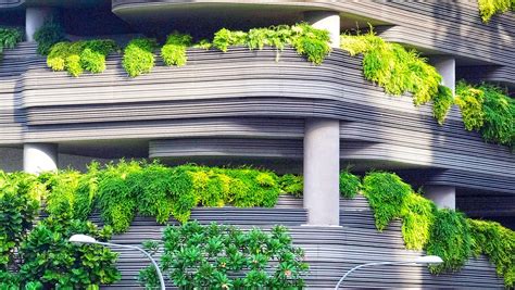 Biophilic Design Balancing Natural And Urban Environments And