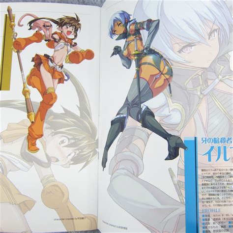 Queens Blade Characters Entry File Booklet Art Ltd Book Ebay
