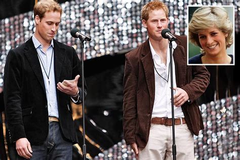 princes william and harry rule out tribute concert for 20th anniversary of princess diana s