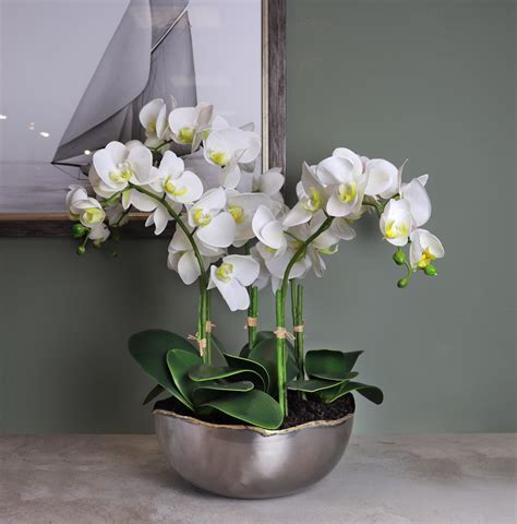 White Phalaenopsis Orchid Arrangement Silk By Design