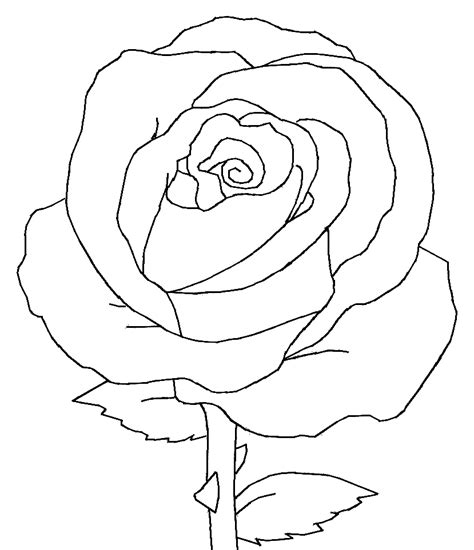 Easy Drawing Rose Outline Madathos