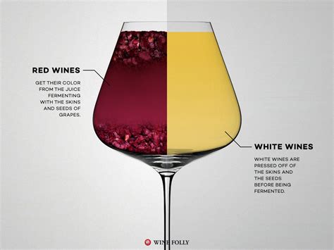 Guide To Spanish Wine Types Tasting Notes Food Pairings Artofit