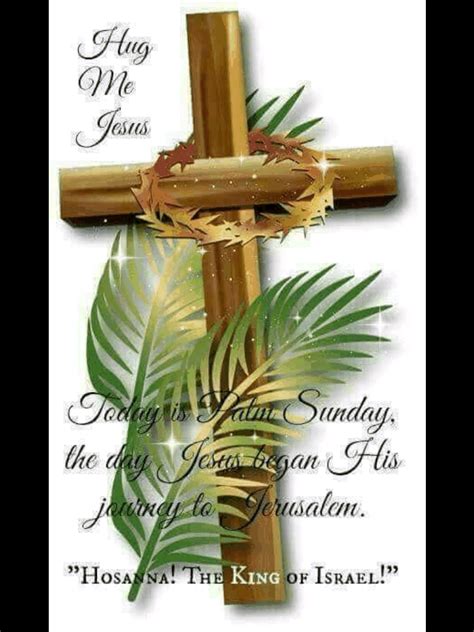 Palm Sunday Blessings Renewed Hope To Come Marys Thoughts