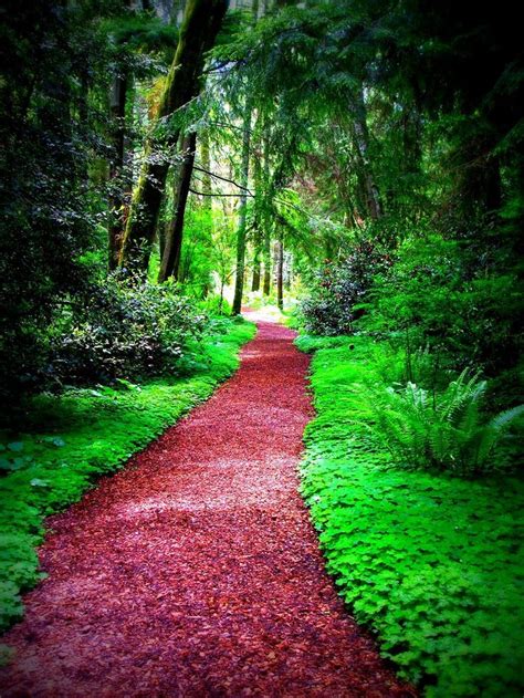 25 Best Beautiful Pathways Images On Pinterest Pathways Beautiful