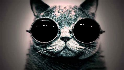 Cat With Goggles Youtube