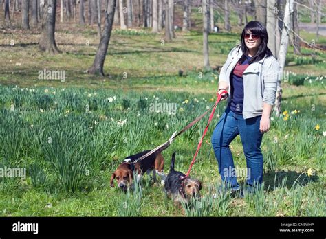 Mujer Y Perros Caminando Fotografías E Imágenes De Alta Resolución Alamy