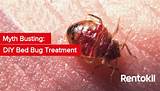Photos of Bed Bug Treatment Chicago