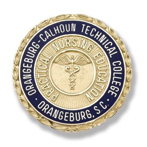 Gold Practical Nursing Pins