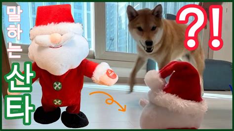 크리스마스에 말하는 산타를 만난 강아지 반응 ㅋㅋㅋㅋㅋ Youtube