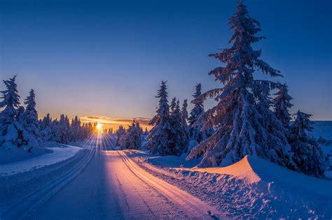 Winter Forest Track In Norway · Free Photo