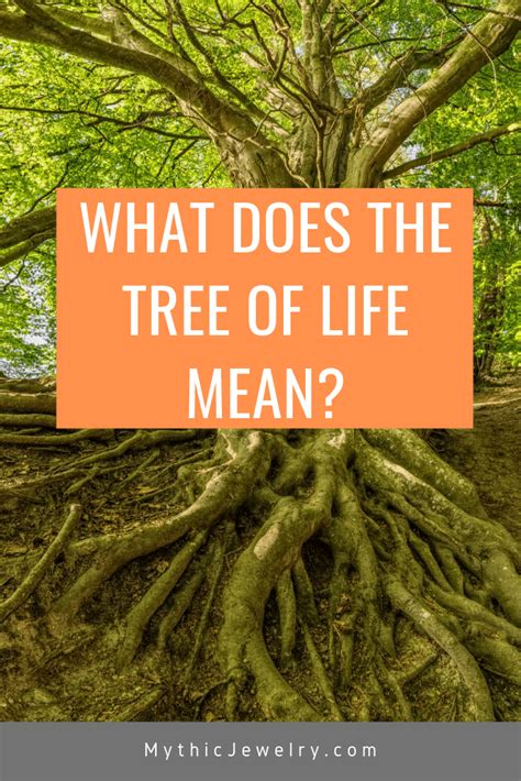 Tree of Life Meaning - What Does it Represent? | Tree of life meaning ...